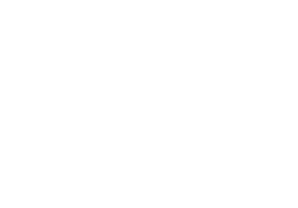 Visiclin